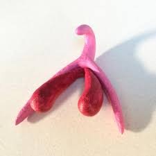 How-To: 3D Printed Clitoris
